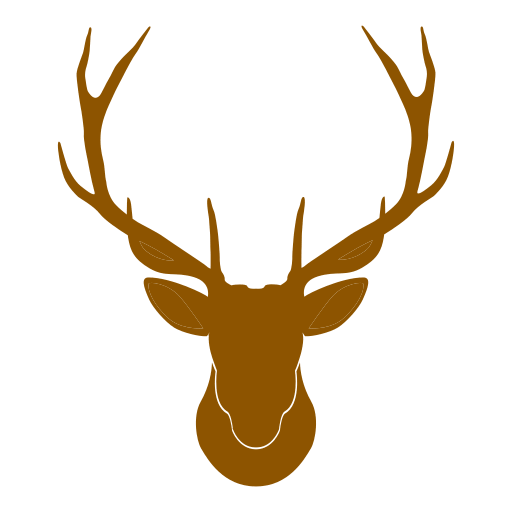Zeichnung Rothirsch mit Geweih
