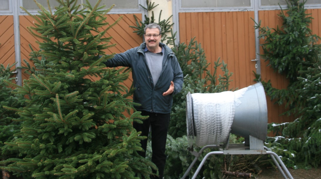 Mann hält Weihnachtsbaum