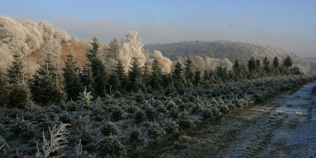 Winterlandschaft